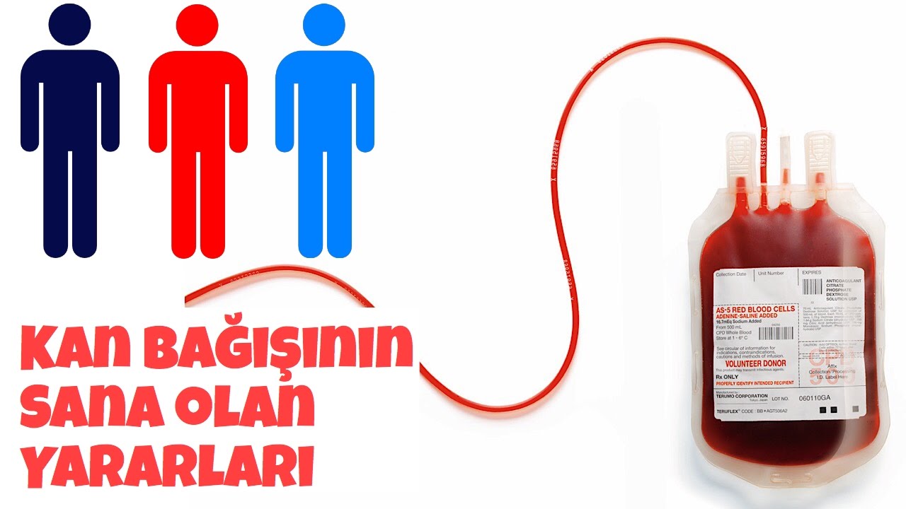 Kan Vermenin Faydaları Nelerdir? Sağlık İçin Hayati Bir Katkı